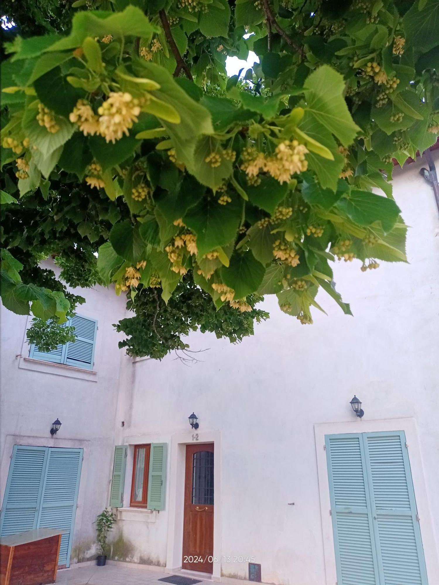 Agriturismo San Martino Foligno Zewnętrze zdjęcie