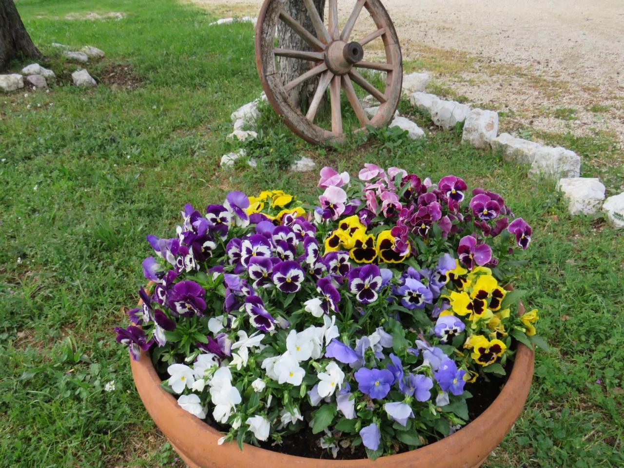 Agriturismo San Martino Foligno Zewnętrze zdjęcie