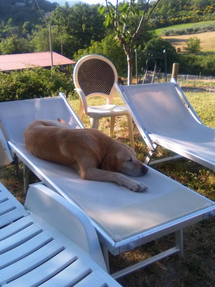 Agriturismo San Martino Foligno Zewnętrze zdjęcie